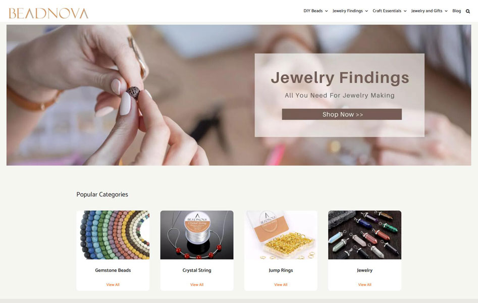 客戶網站設計的視覺效果展示案例：Beadnova